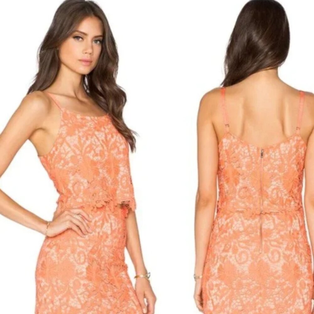 Alice + Olivia Coral Nude Lace Farrel Pencil Skirt XL (Orig. $298)